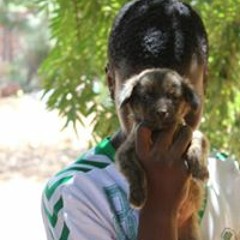 George Polykarpin Emilo