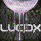 LucidX