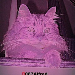 0087Alfred