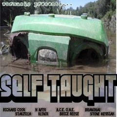 Self Taught