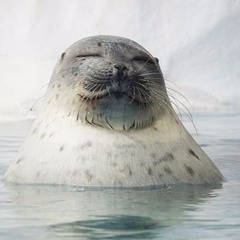 Paula Elizabeth Alcoseba