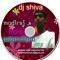dj shiva chintu