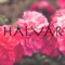 Halvar Johannson