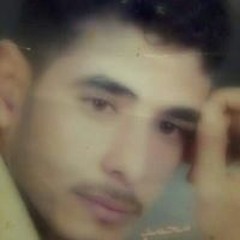 محمد وهبه ابو جنه