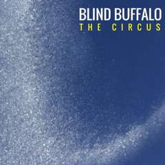 BlindBuffaloBand