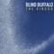 BlindBuffaloBand