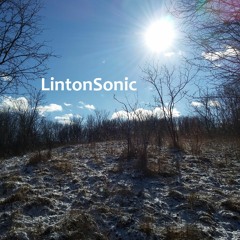 LintonSonic