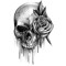 Beautiful Disaster