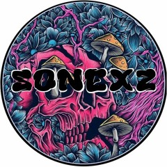 The Frim - Bassline Skanka(SonexZ Remix)