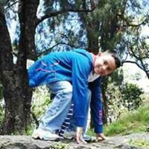 Stream Javier Alejandro Colina music Listen to songs, albums