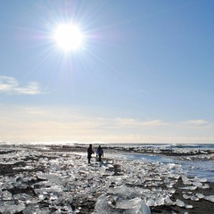 Vox Humana (Deerhunter Cover)