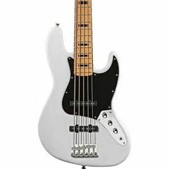 BASS PLAYER