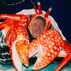 Brian Feimer