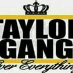 Taylor Gang Everything