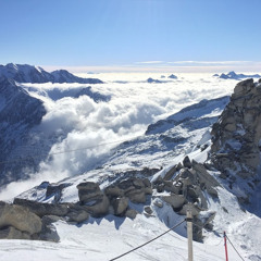 Mitja