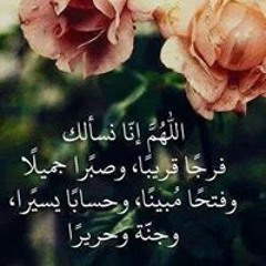 Mohamed W Ibrahim