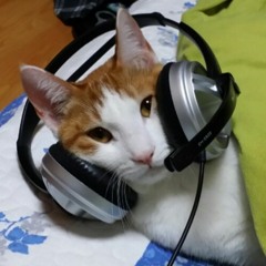 Excute