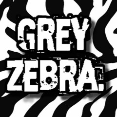 Grey Zebra