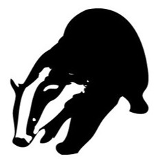 Badger_MC
