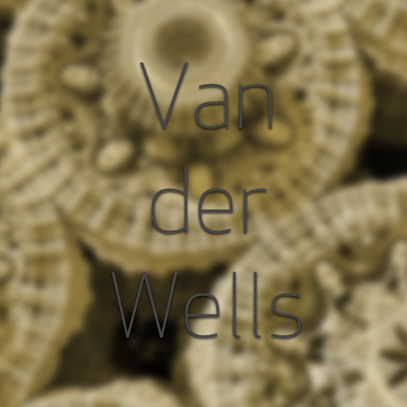 The Wouter van der Wells Podcast