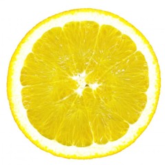 Flitser