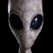 hi I'm an alien