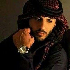 صقر العرب الحويطى