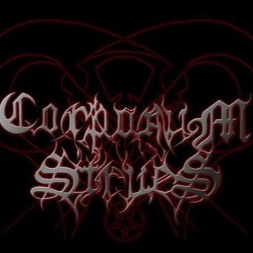 Manowar cover swords in the wind