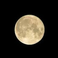 Thicknesse Productions