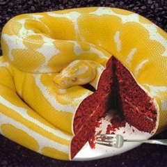 abeeriosis