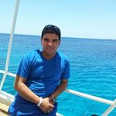 Mohamed Sayd Sobhy