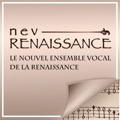 NEV Renaissance 2014