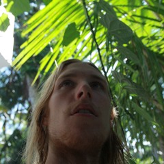 Den Gula Glädjen Demo