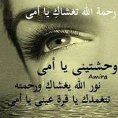 عصفور الجنه