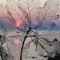 Grey Magick