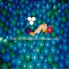 The Notorious PODcast AFL