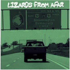 Lizards From Afar