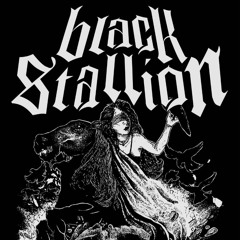 Black Stallion