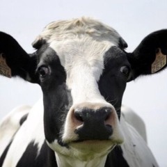 Gabz2thesun AKA Kugo