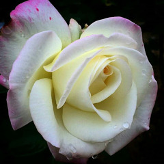 ‫مرحب هاي‬‎