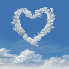 user205214745