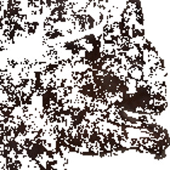rnkirkpatrick