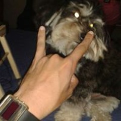 Fernando Faria Maciel