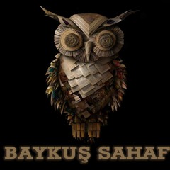 Bolu Baykus Sahaf