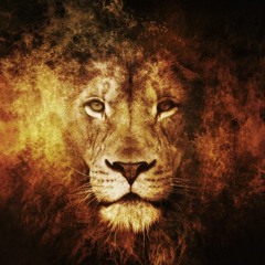 We're All Kings