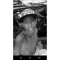 Lucas Felipe
