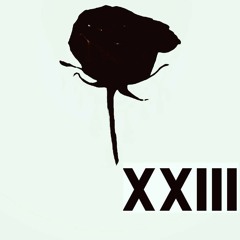 XXIII