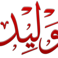 waleed elkhonany