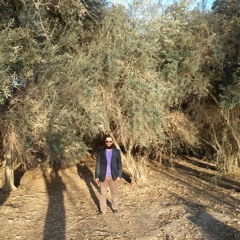 Dr.abdullah Almottalpy