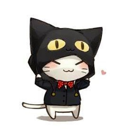 Авы котики